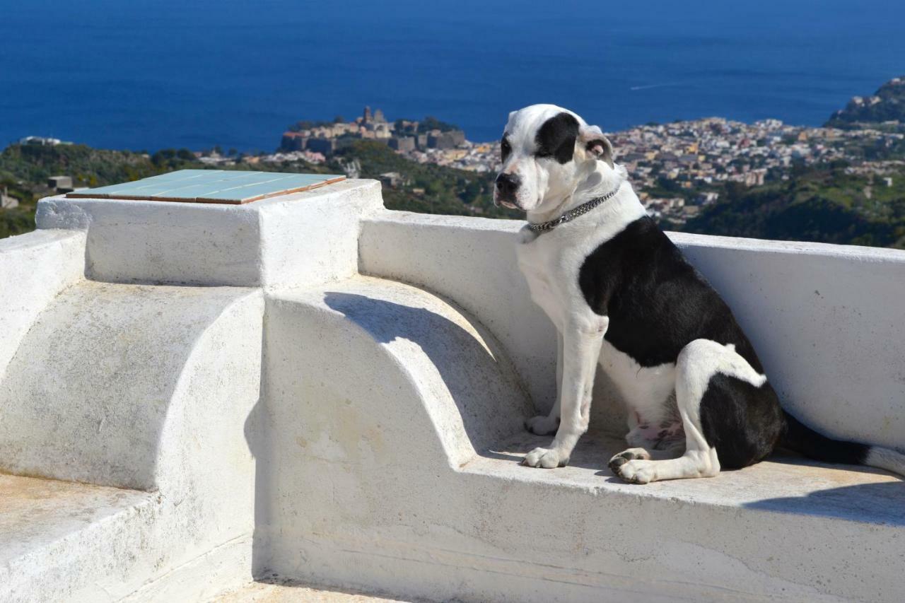 Villa Paradiso Piano Conte Kültér fotó